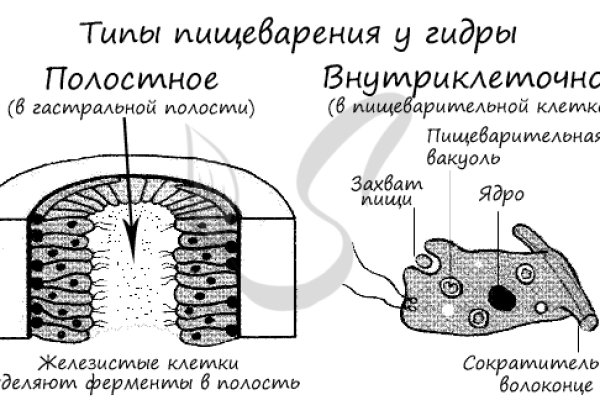 Kraken darknet зеркала