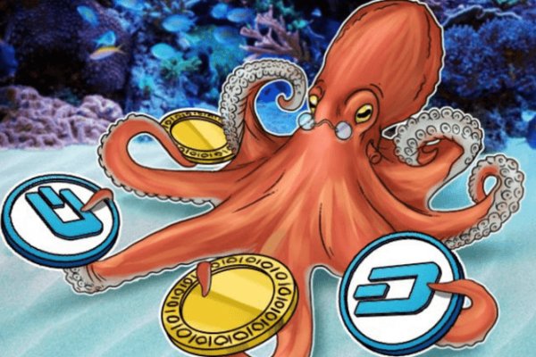 Kraken наркшоп