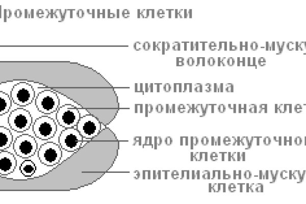 Кракен шоп что это