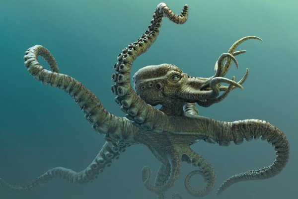 Kraken m22